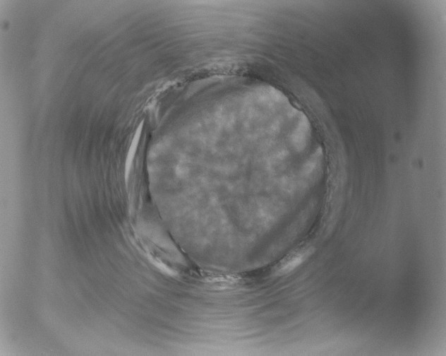 X0000051240432200507152128