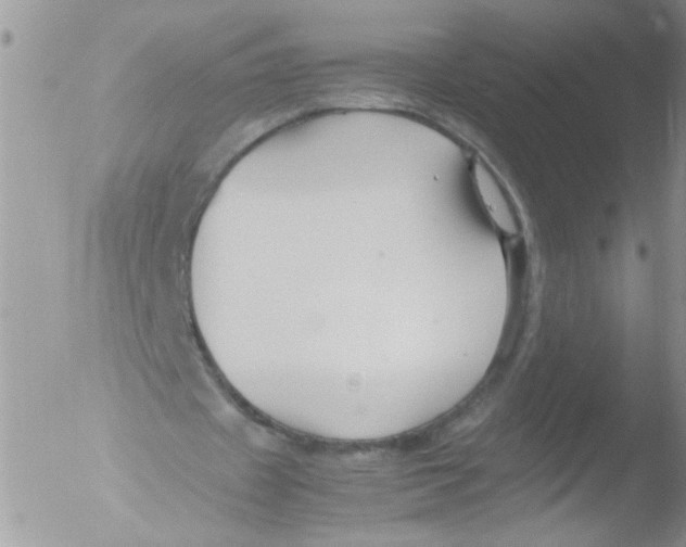 X0000051240433200507152127