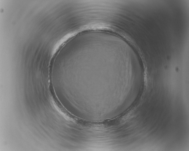 X0000051240438200507152127