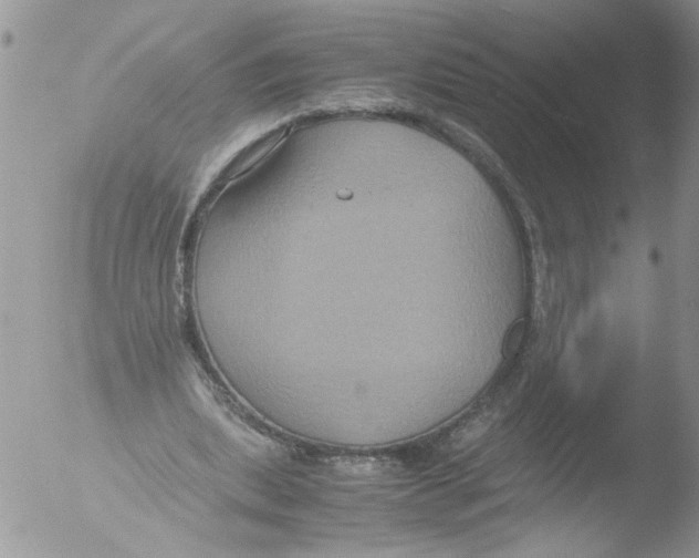 X0000051240439200507152127