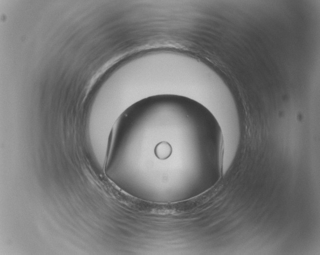 X0000051240440200507152128