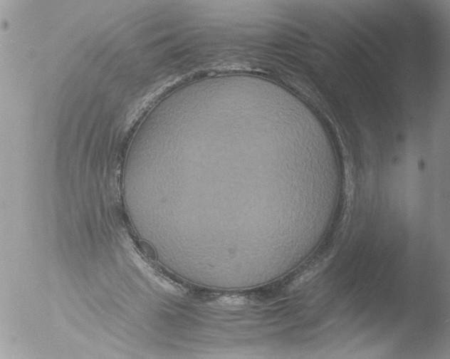 X0000051240441200507152128