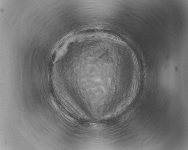 X0000051240442200507152128