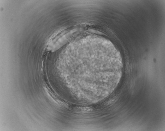 X0000051240443200507152128