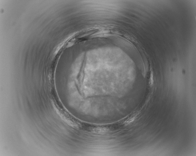 X0000051240444200507152128