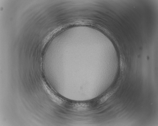 X0000051240445200507152128