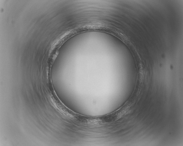 X0000051240446200507152128