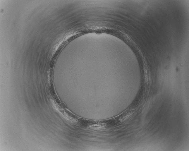 X0000051240447200507152128