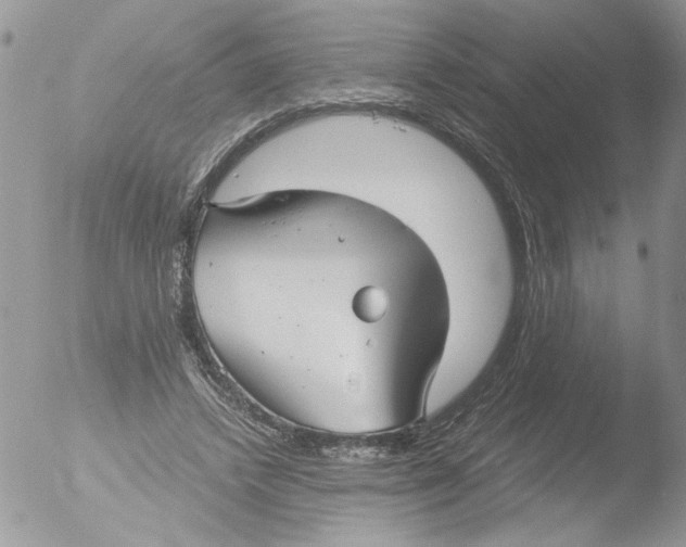 X0000051240448200507152128