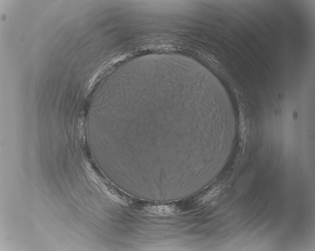 X0000051240449200507152128