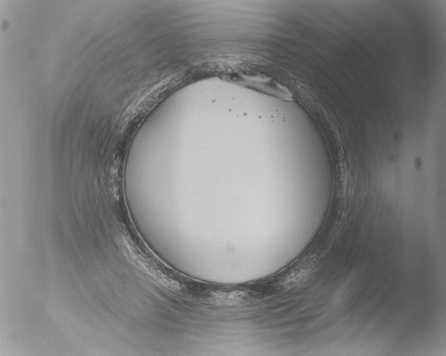 X0000051240450200507152128