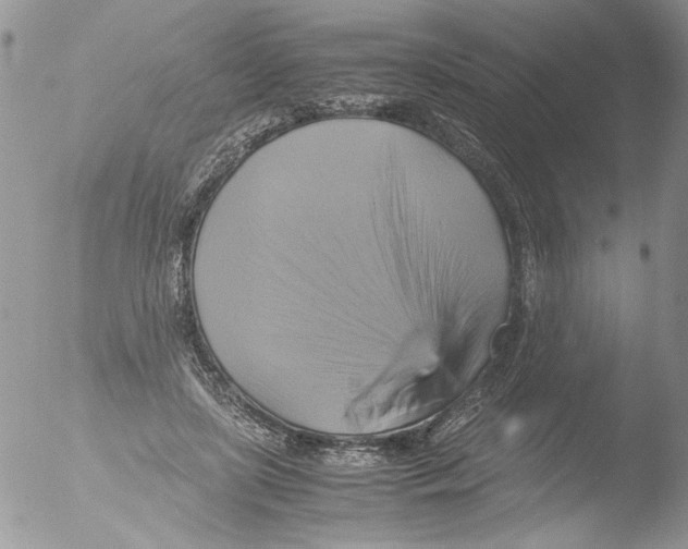 X0000051240451200507152128