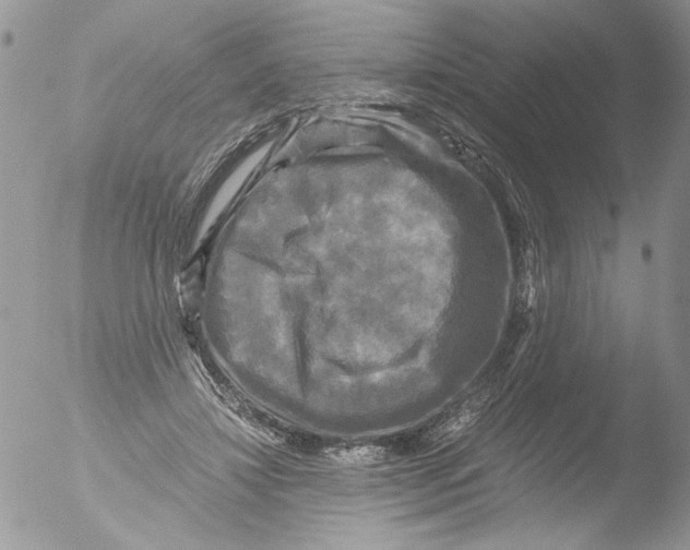 X0000051240452200507152128