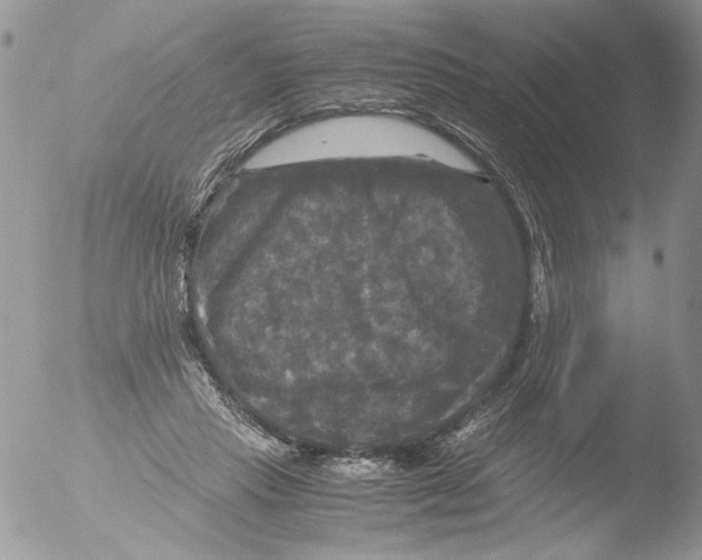 X0000051240453200507152128