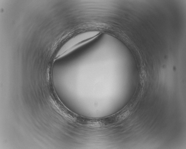 X0000051240454200507152128