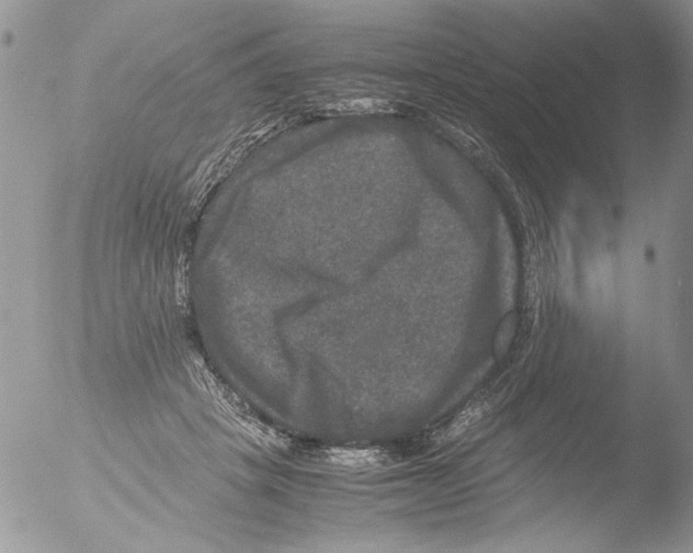 X0000051240457200507152128