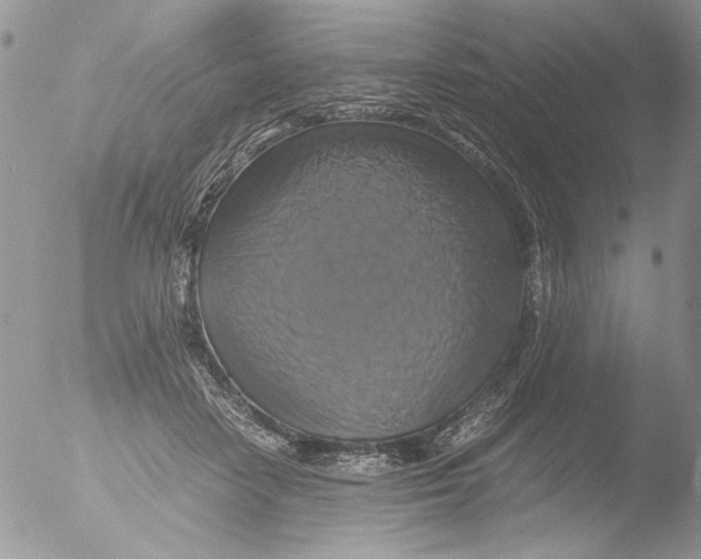 X0000051240458200507152128