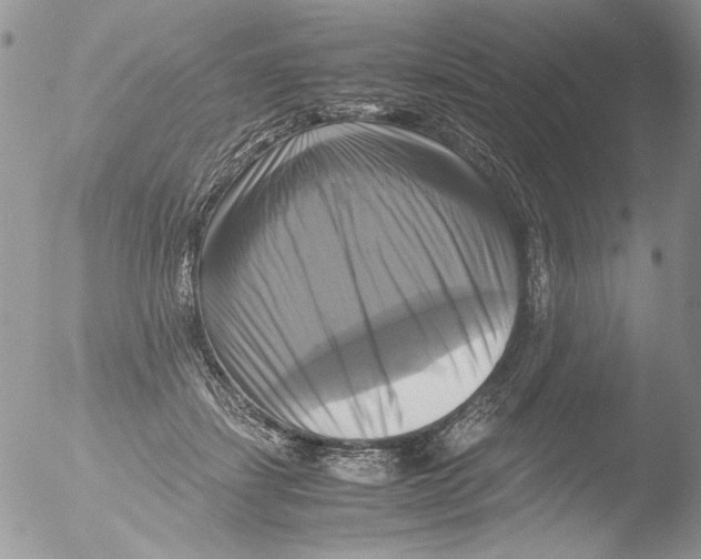 X0000051240459200507152128