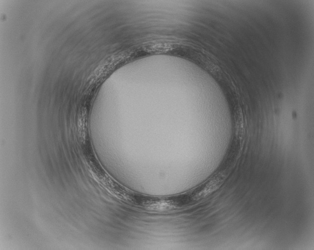 X0000051240460200507152128