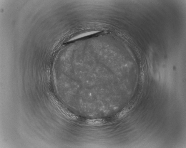 X0000051240461200507152128