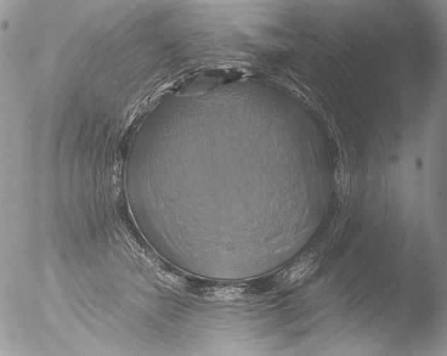 X0000051240462200507152128