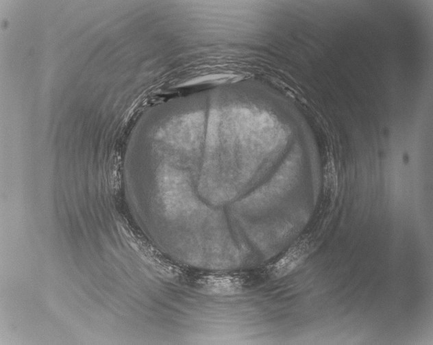 X0000051240464200507152128