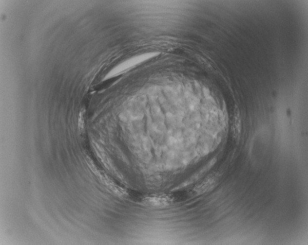 X0000051240466200507152128