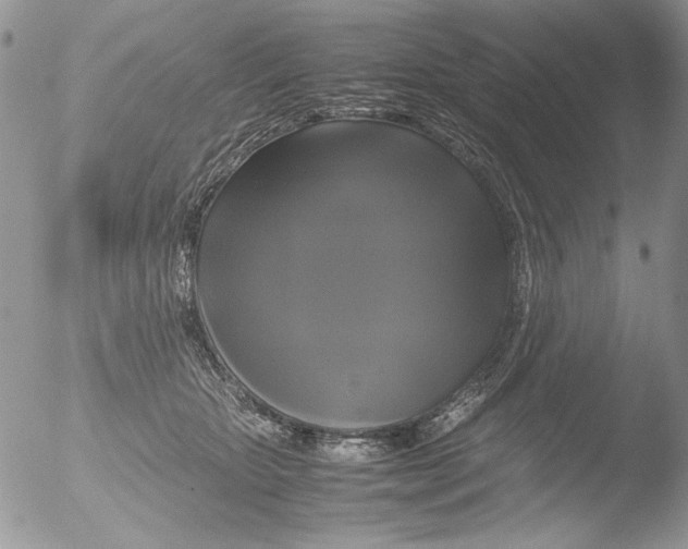 X0000051240467200507152128