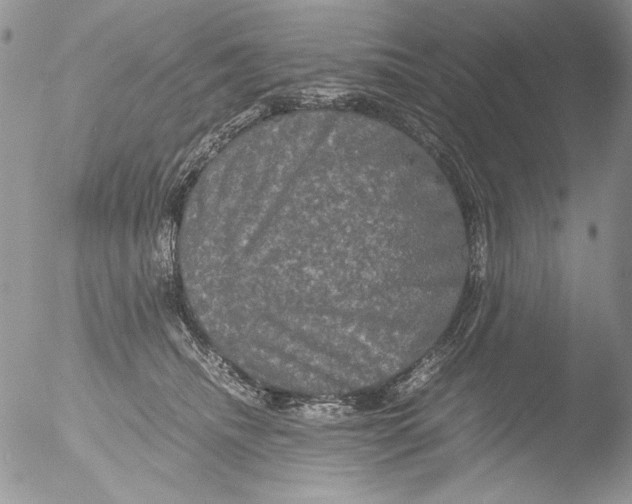 X0000051240468200507152128