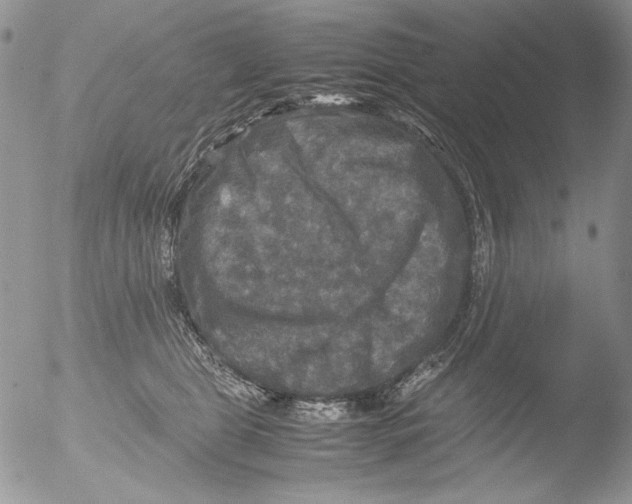 X0000051240469200507152128