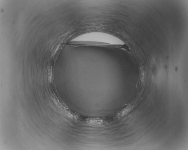 X0000051240471200507152128