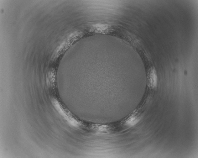 X0000051240472200507152128