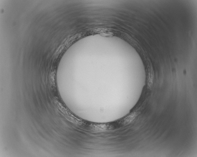 X0000051240473200507152128