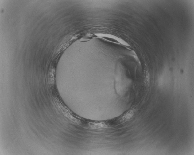 X0000051240475200507152128