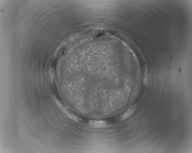 X0000051240476200507152128