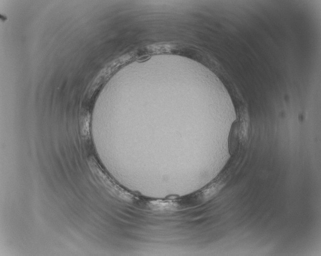 X0000051240477200507152128