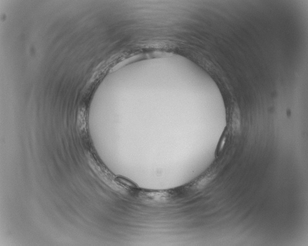 X0000051240478200507152128