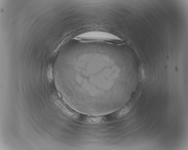 X0000051240479200507152128