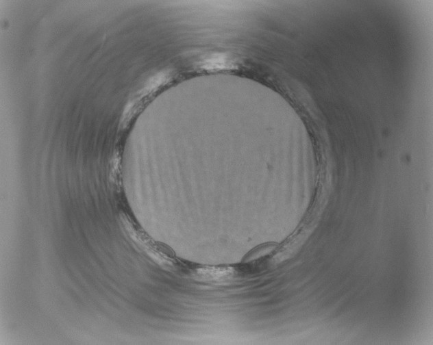 X0000051240480200507152128