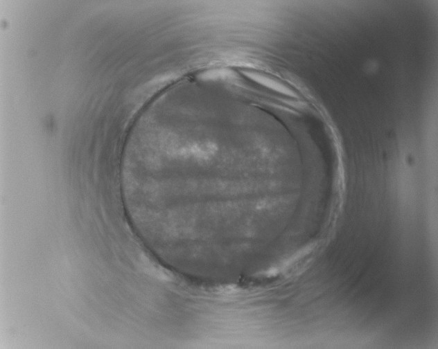 X0000051240481200507152127