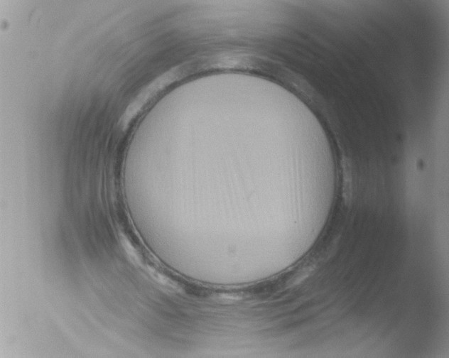 X0000051240482200507152127