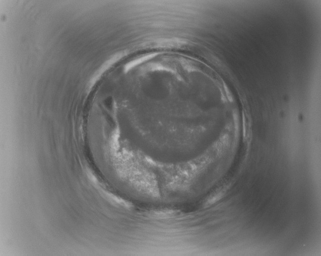 X0000051240483200507152127