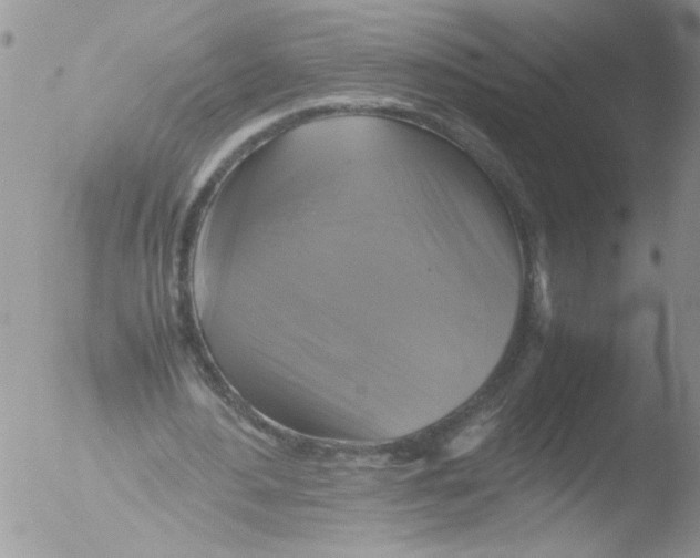 X0000051240484200507152127