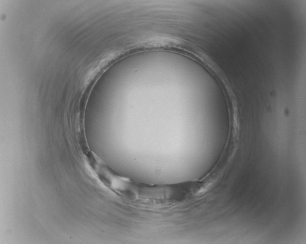 X0000051240485200507152127