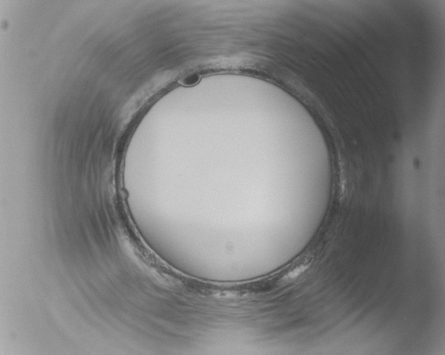 X0000051240486200507152127