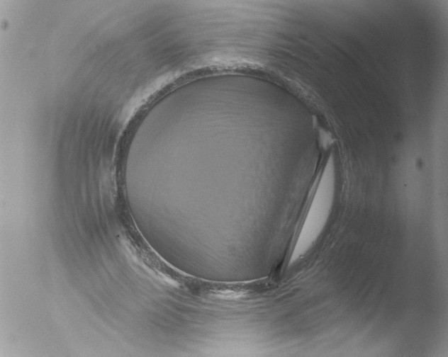 X0000051240488200507152127