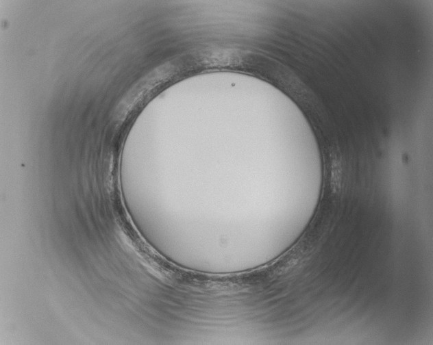 X0000051240490200507152127