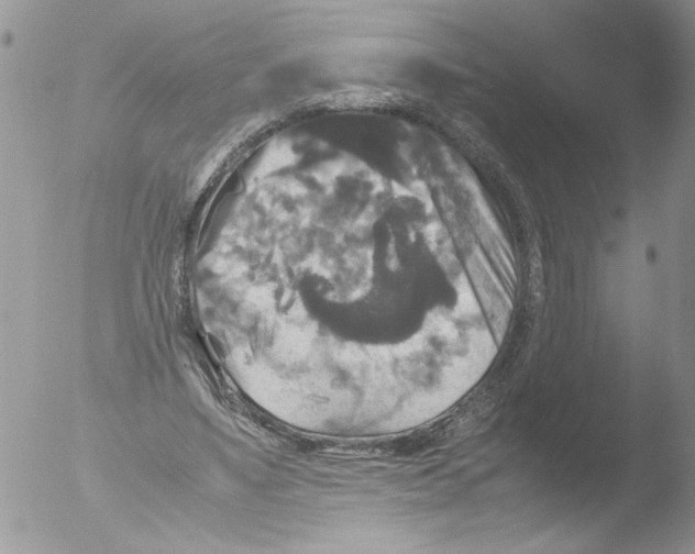 X0000051240491200507152127