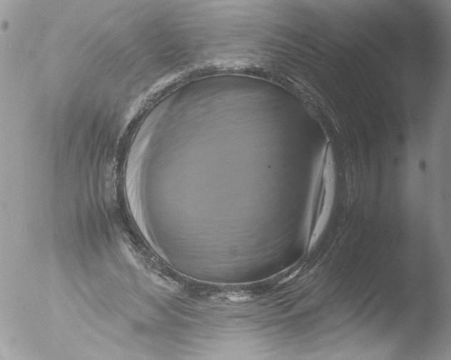 X0000051240492200507152127