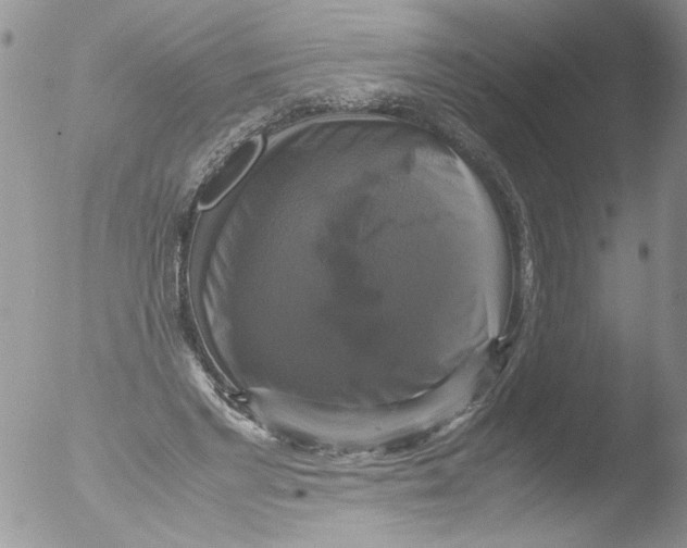 X0000051240493200507152127